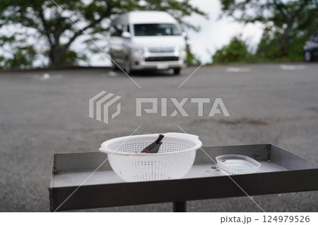 横峰寺の駐車場にいた鳥 124979526