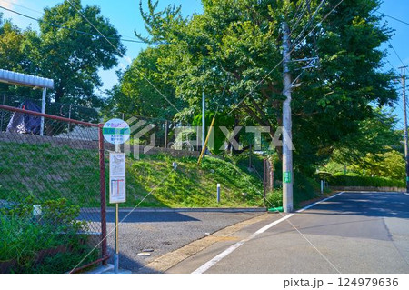 神奈川県川崎市宮前区神木本町1丁目の五所塚公園バス停 神奈川県川崎市宮前区神木本町1丁目の五所塚公園バス停 124979636