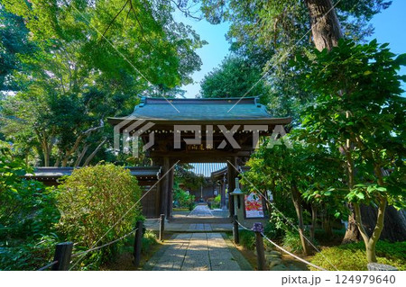 夏の神奈川県川崎市多摩区長尾の長尾山妙楽寺の山門 夏の神奈川県川崎市多摩区長尾の長尾山妙楽寺の山門 124979640