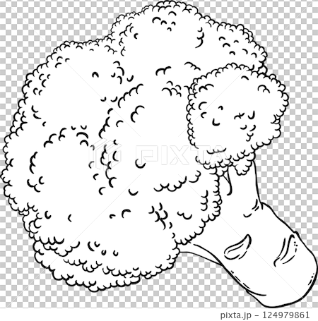 Broccoli Vegetable Outline llustration. 124979861
