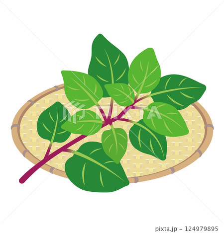 ツルムラサキ 124979895