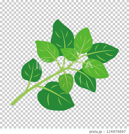 牽牛花圖標 124979897