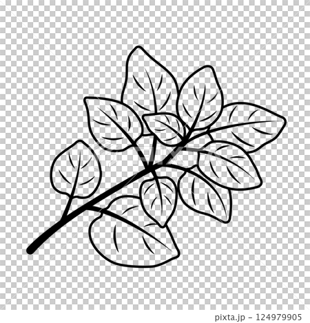 牽牛花圖標 124979905