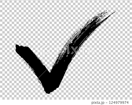 勢いよく筆で描いたチェック 124979974