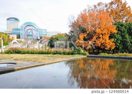 あいち健康の森公園の紅葉 あいち健康の森公園の紅葉 124980014