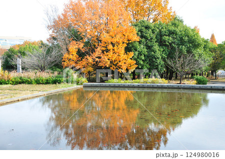 あいち健康の森公園の紅葉 124980016