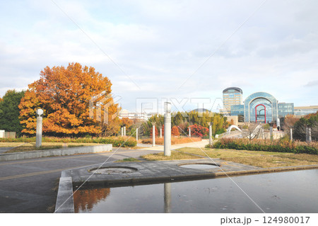 あいち健康の森公園の紅葉 あいち健康の森公園の紅葉 124980017