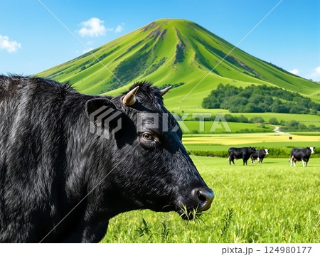 青空の下の緑の草原と丘をバックに黒い牛のアップ 青空の下の緑の草原と丘をバックに黒い牛のアップ 124980177