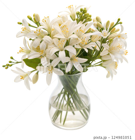 White Lilies in Glass Vase 124981051