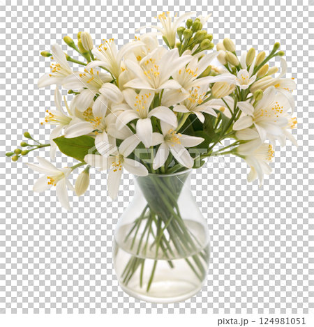White Lilies in Glass Vase 124981051
