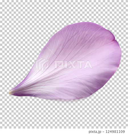 Single Lilac Petal Close-up 124981109