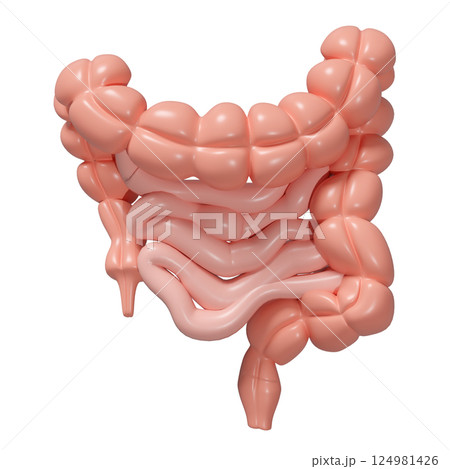 3d healthy intestine isolated. health check concept, 3d illustration render 124981426
