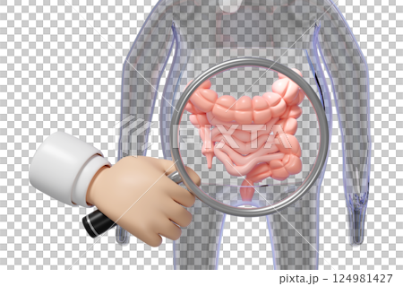 3d human colon with doctor hand holding magnifying glas isolated. check digestive, intestine health concept, 3d illustration render 3d human colon with doctor hand holding magnifying glas isolated. check digestive, intestine health concept, 3d illustration render 124981427