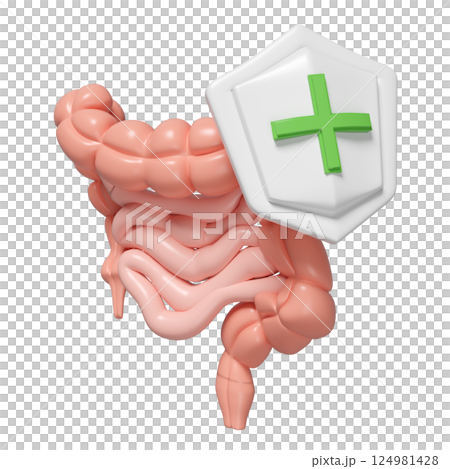 3d healthy intestine with shield isolated. check intestine health concept, 3d illustration render 3d healthy intestine with shield isolated. check intestine health concept, 3d illustration render 124981428
