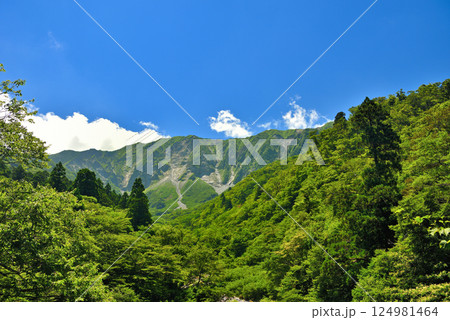 中国地方・大山隠岐国立公園・大神山神社奥宮・撮影スポット、賽の河原から眺める大山・鳥取県大山町(2) 中国地方・大山隠岐国立公園・大神山神社奥宮・撮影スポット、賽の河原から眺める大山・鳥取県大山町(2) 124981464