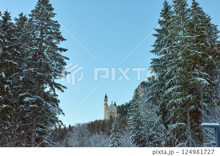 Famous Bavarian Castle Emerges Through Winter Mist Above Alpine Village While Historic Church Spire and Snow Covered Street Create Perfect Fairytale Scene Under Pristine Mountain Sky 124981727