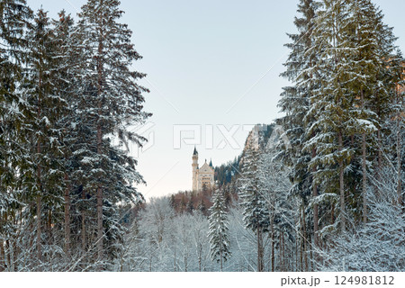 Neuschwanstein Castle in Winter, Snow-Covered Fairytale Landscape with Dense Evergreen Forest, Rocky Hillside, Blue-Tiled Roof, and Tall Pointed Tower, Serene Morning Light, Tranquil and Picturesque Neuschwanstein Castle in Winter, Snow-Covered Fairytale Landscape with Dense Evergreen Forest, Rocky Hillside, Blue-Tiled Roof, and Tall Pointed Tower, Serene Morning Light, Tranquil and Picturesque 124981812