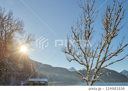Serene Winter Wonderland: Frozen Lake Shines Under Clear Blue Sky on Sunny Winter Day Pristine Icy Landscape Captures Nature's Tranquil Beauty in Early Morning Light 124981836