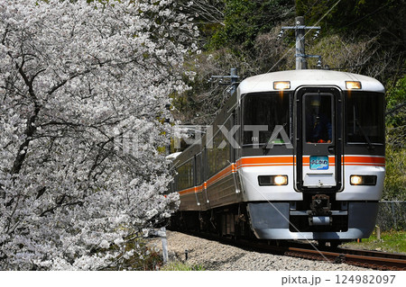 373系特急「ふじかわ」（春の身延線） 124982097