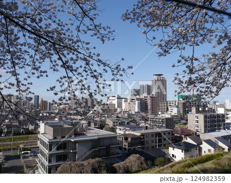 いろは坂桜公園から見える聖蹟桜ヶ丘 いろは坂桜公園から見える聖蹟桜ヶ丘 124982359