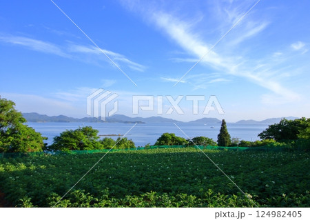 爽やかな初夏の瀬戸内風景 爽やかな初夏の瀬戸内風景 124982405