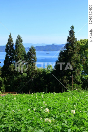 じゃがいも畑がある初夏の瀬戸内風景 じゃがいも畑がある初夏の瀬戸内風景 124982409