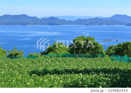 高台のジャガイモ畑から瀬戸内海 大崎上島方面を望む 高台のジャガイモ畑から瀬戸内海 大崎上島方面を望む 124982414