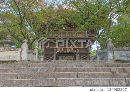 福岡 香椎宮 楼門 124982897