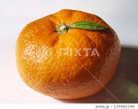 小さな葉の付いた蜜柑 124983199