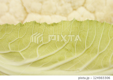 Cauliflower leaf 124983306