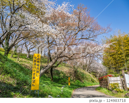 すれ違いが困難な細い道に設置された注意の看板【この先幅員狭し 交互通行できません】 すれ違いが困難な細い道に設置された注意の看板【この先幅員狭し 交互通行できません】 124983718