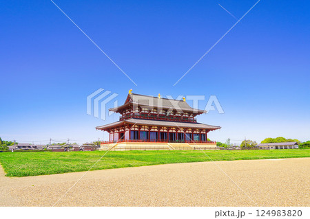 奈良県 平城宮跡 第一次大極殿 奈良県 平城宮跡 第一次大極殿 124983820
