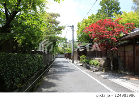 （南禅寺）009 124983986