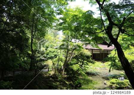 (南禅寺)006 (南禅寺)006 124984189