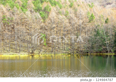 東山魁夷の「緑響く」のモチーフになった御射鹿池 東山魁夷の「緑響く」のモチーフになった御射鹿池 124984787