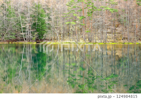 東山魁夷の「緑響く」のモチーフになった御射鹿池 124984815