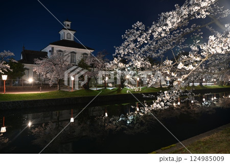 鶴岡公園の夜桜 鶴岡公園の夜桜 124985009