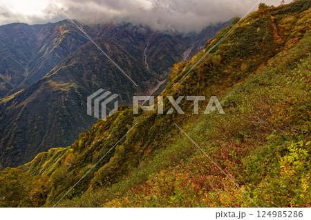 紅葉の飯豊連峰・梶川尾根の登りから見る石転ビ沢 紅葉の飯豊連峰・梶川尾根の登りから見る石転ビ沢 124985286