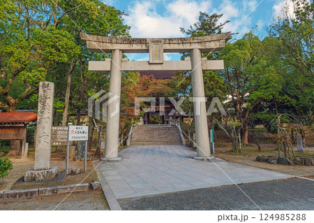 福岡 香椎宮 参道の三の鳥居 124985288