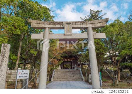 福岡 香椎宮 参道の三の鳥居 124985291