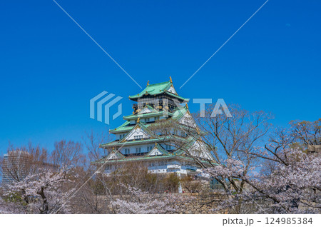 春四月 青空に映える満開の桜と大阪城天守 春四月 青空に映える満開の桜と大阪城天守 124985384