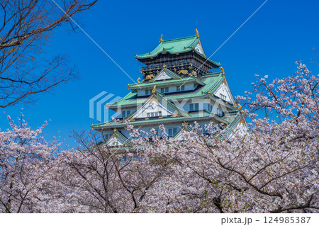 春四月　青空に映える満開の桜と大阪城天守 124985387