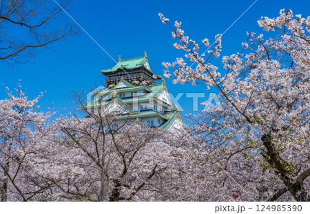 春四月 青空に映える満開の桜と大阪城天守 春四月 青空に映える満開の桜と大阪城天守 124985390