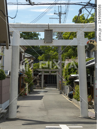川辺八幡神社の鳥居と参道 124986086