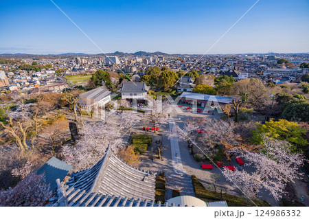 （愛知県）国宝犬山城　天守から見下ろす犬山城下町　桜の季節 124986332