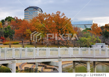 あいち健康の森公園の紅葉 あいち健康の森公園の紅葉 124986471