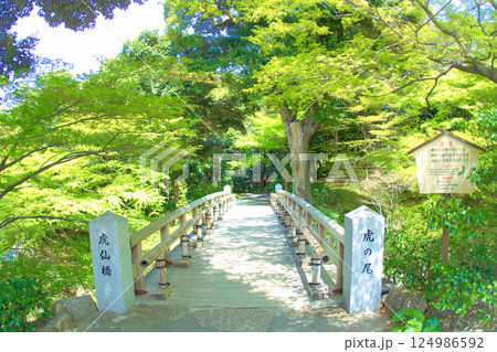 [愛知県]名古屋市東区の徳川園 124986592