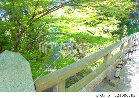 [愛知県]名古屋市東区の徳川園 124986593