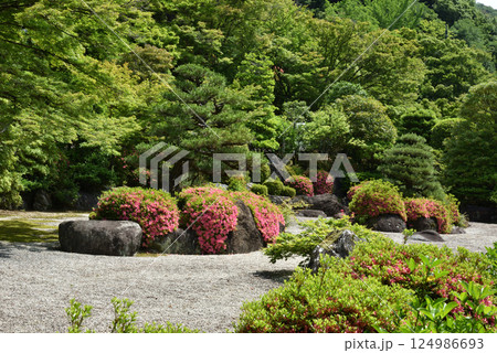 三室戸寺 サツキの頃の石庭(京都府宇治市) 三室戸寺 サツキの頃の石庭(京都府宇治市) 124986693