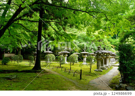 緑に包まれた慈眼堂 124986699